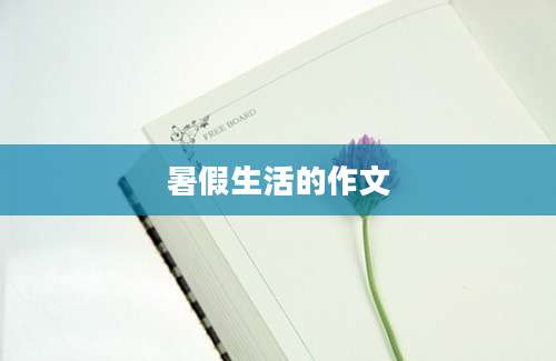 暑假生活的作文
