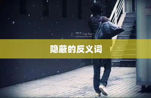 隐蔽的反义词