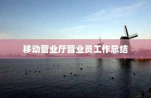 移动营业厅营业员工作总结