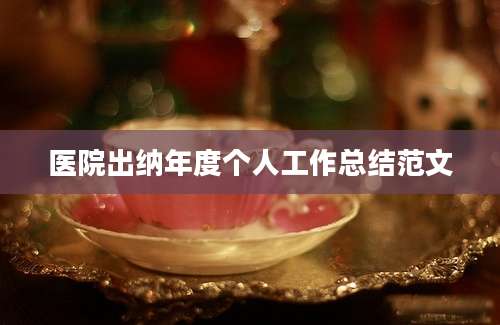 医院出纳年度个人工作总结范文