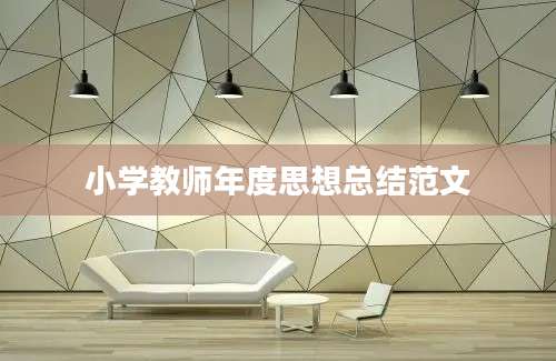 小学教师年度思想总结范文