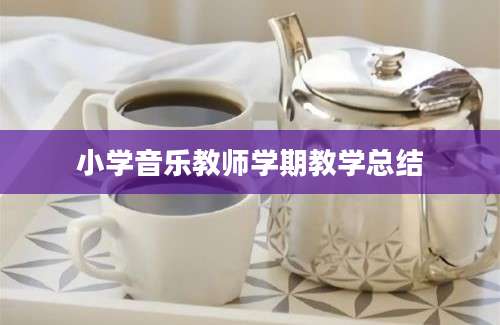 小学音乐教师学期教学总结