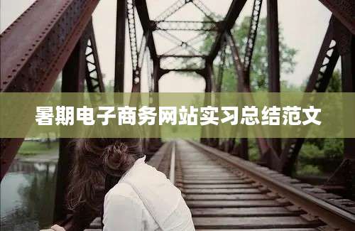 暑期电子商务网站实习总结范文