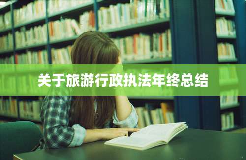关于旅游行政执法年终总结