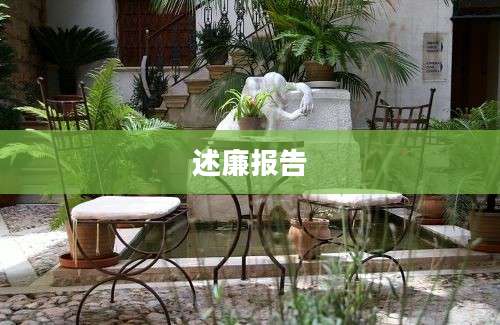 述廉报告