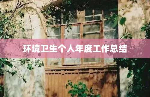 环境卫生个人年度工作总结