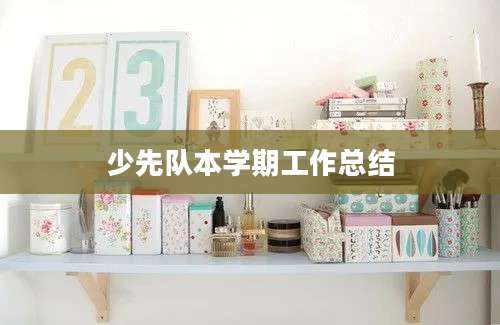 少先队本学期工作总结