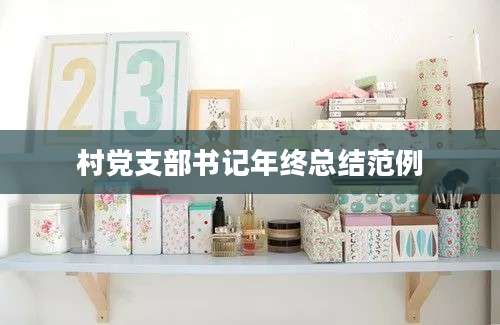 村党支部书记年终总结范例