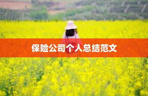 保险公司个人总结范文