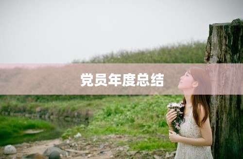 党员年度总结