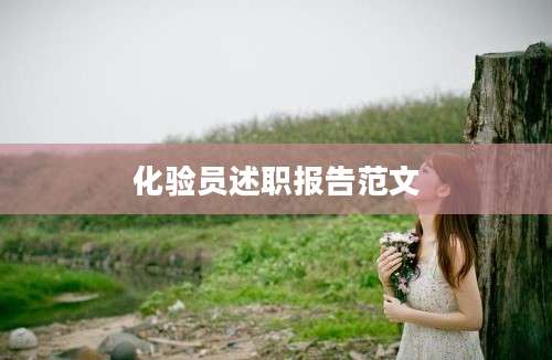 化验员述职报告范文
