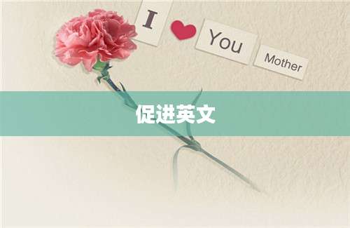 促进英文