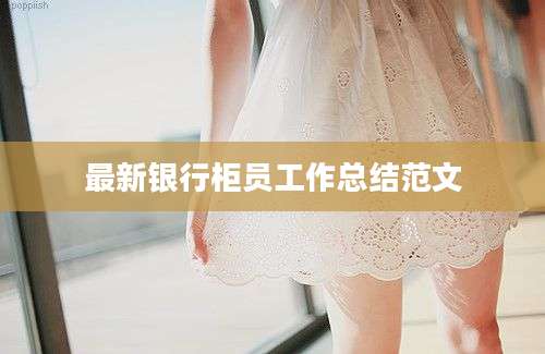 最新银行柜员工作总结范文