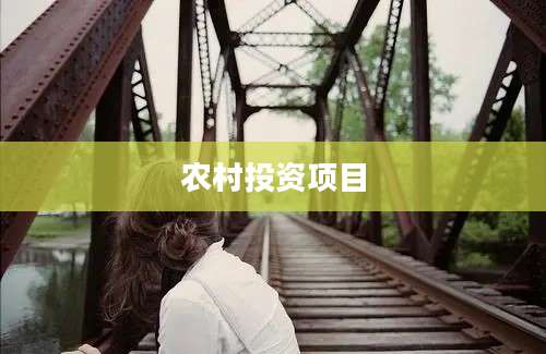 农村投资项目
