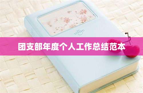 团支部年度个人工作总结范本