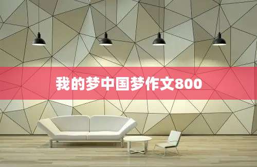 我的梦中国梦作文800