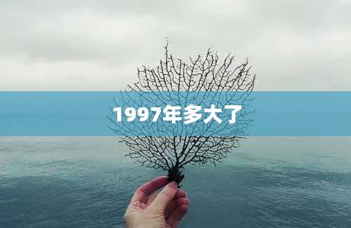 1997年多大了