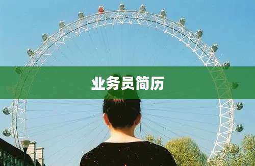 业务员简历