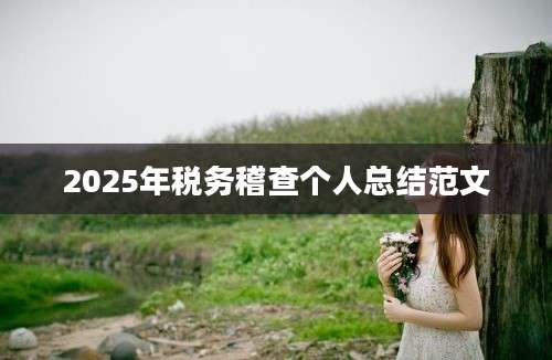 2025年税务稽查个人总结范文