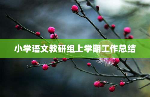 小学语文教研组上学期工作总结