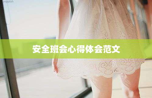 安全班会心得体会范文