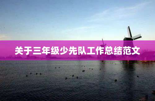 关于三年级少先队工作总结范文