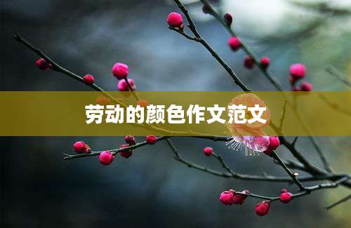 劳动的颜色作文范文