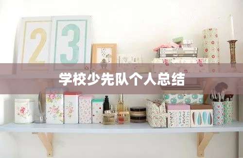学校少先队个人总结