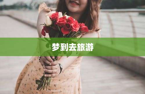 梦到去旅游