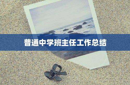 普通中学班主任工作总结
