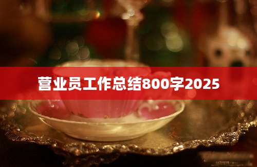 营业员工作总结800字2025