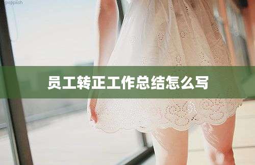 员工转正工作总结怎么写
