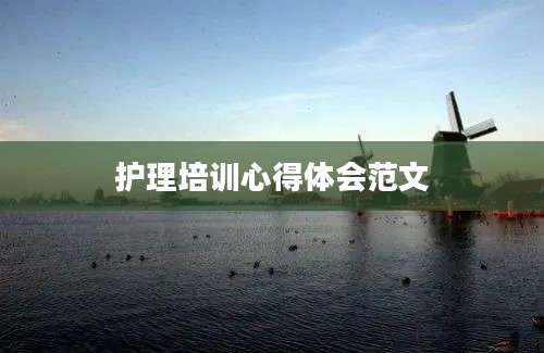 护理培训心得体会范文