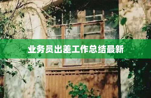 业务员出差工作总结最新