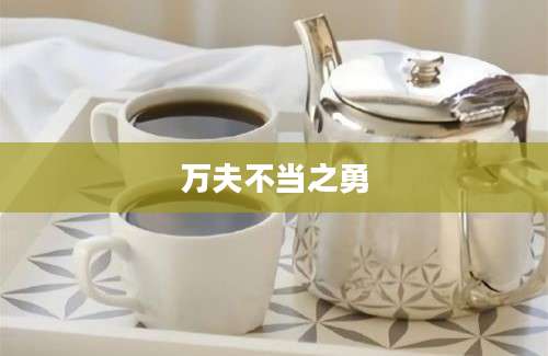 万夫不当之勇