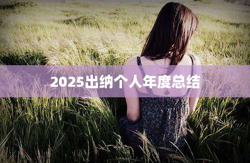 2025出纳个人年度总结