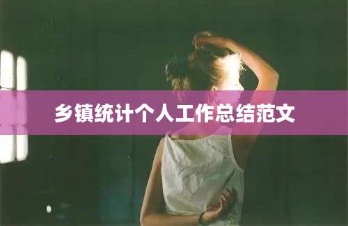乡镇统计个人工作总结范文