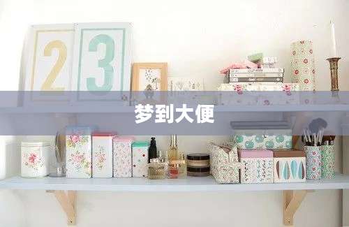 梦到大便