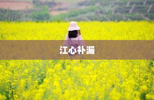 江心补漏