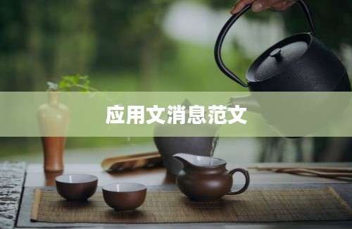应用文消息范文