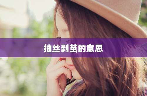 抽丝剥茧的意思