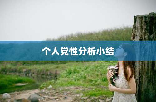 个人党性分析小结