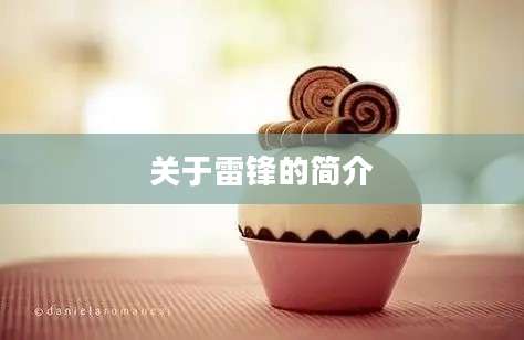 关于雷锋的简介