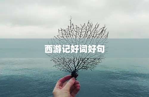 西游记好词好句