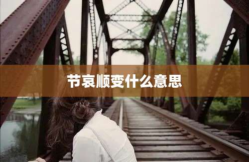 节哀顺变什么意思
