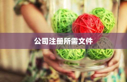 公司注册所需文件