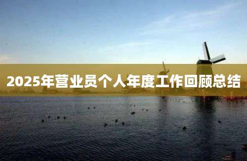 2025年营业员个人年度工作回顾总结