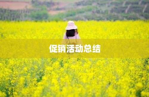 促销活动总结