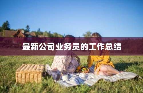 最新公司业务员的工作总结