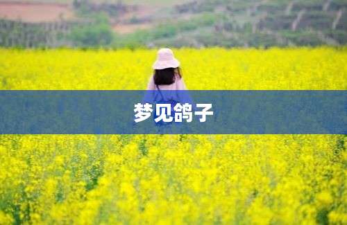梦见鸽子